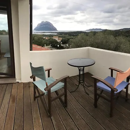 Holiday Homes